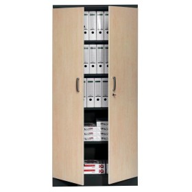 Wolfstahl Büro Stahlschrank - Aktenschrank Tiefschwarz abschliessbar 92x42x195cm, aufgebaut