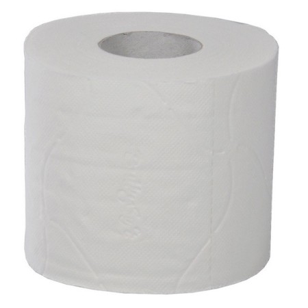 Webstar Toilettenpapier Kleinrollen 60 Rollen (10 x 6)
