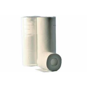 Webstar Toilettenpapier Kleinrollen 60 Rollen (10 x 6)