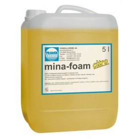 Webstar Mina-Foam Citro Handseife 1 Bidon