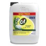 Cif Professionale Crema Limone Detergente Universale 1 Bidone