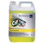 Sgrassatore professionale Cif 2 taniche