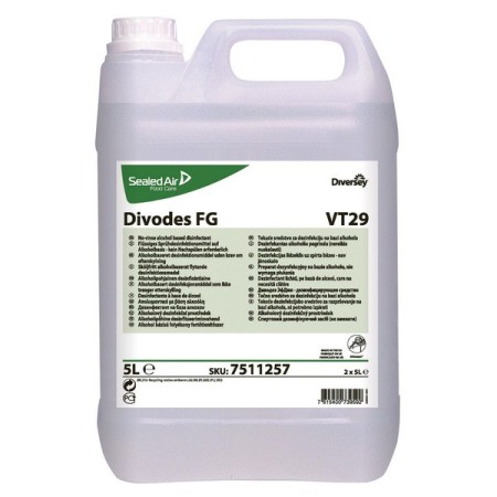Divodes FG VT29 Desinfektionsreiniger 2 Bidons