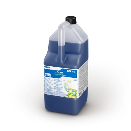 Ecolab Xense Floor & Surface Allzweckreiniger 2 Stück
