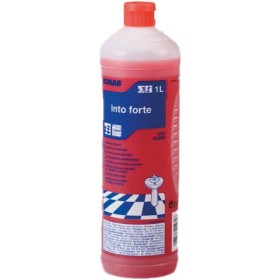 Detergente sanitario Into forte 6 pezzi