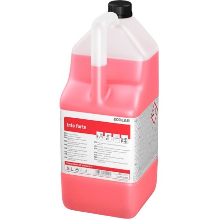 Nettoyant sanitaire Into forte 2 pièces