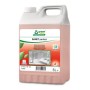 Tana SANET Perfect Sanitärreiniger 2 Bidons