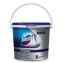Pastiglie per WC Domestos Professional 1 secchio