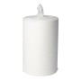 Webstar Polierrolle Maxi in Spenderbox 1 Rolle