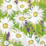 Serviette en papier Mank 600 pièces (6 x 100)
