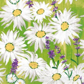 Serviette en papier Mank 600 pièces (6 x 100)