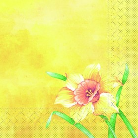 Serviette en papier Mank 600 pièces (6 x 100)