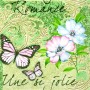 Mank Lot de 600 Serviettes (6 x 100)