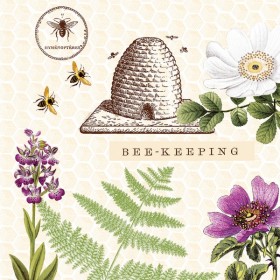 Serviettes Mank Linclass 300 pièces (6 x 50)