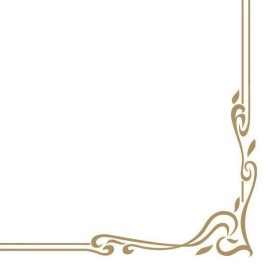 Serviettes Mank Linclass 300 pièces (6 x 50)
