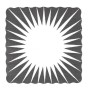 Webstar Tellerunterlagen 1000 Stück
