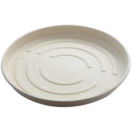 BIOPAK Pizzateller 165 Stück (3 x 55)
