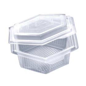 Webstar Schale 600 Stück (12 x 50)