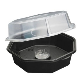 Duni Octaview Box 240 Stück