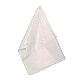 Webstar Papier parchemin 1 carton