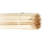 Spiedini NatureStar 1000 pezzi