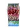 Brochettes apéritives Lunica 2400 pièces (24 x 100)