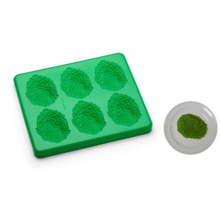 Webstar Forma riutilizzabile Smoothfood 1 pezzo