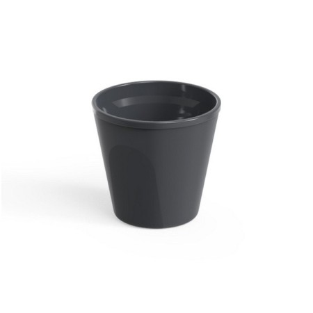 Webstar Bicchiere riutilizzabile Coffee to Go 24 pezzi