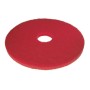 3M Tamponi Scotch-Brite 5 pezzi