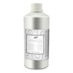 Hagleitner Lufterfrischer MAGICUS 1 Flasche