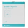 Biatain Alginate 10 Stück