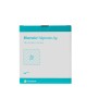 Biatain Alginate Ag 10 pièces