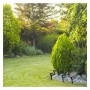 XXLED Grüne Solar-Gartenleuchte Led - IP65 - 4000K - Detailansicht