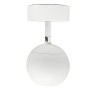 XXLED Projecteur LED FENIX Blanc - 12W-8W-5W - IRC+93 SURFACE - UGR13 - CCT - photo produit