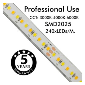 Bande LED 24V | 240xLED/m | 5m | SMD2025 | CCT | 10W/M | IP20