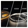 XXLED LED-Streifen 24V | 240xLED/m | 5m | SMD2025 | CCT | 10W/M | IP20 - technische Ansicht