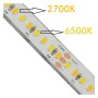 XXLED LED-Streifen 24V | 240xLED/m | 5m | SMD2025 | CCT | 10W/M | IP20 - Detailansicht