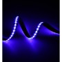 XXLED LED-Streifen 24V RGB | 5m | COB | 630LED/m | 15W/M | IP20 - Detailansicht