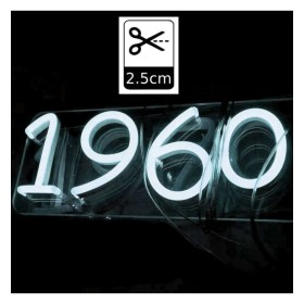 Bandeau LED Néon 6000K LED 6mm 12V + Alimentation