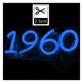 Bande LED Néon Bleue LED 6mm 12V + Alimentation