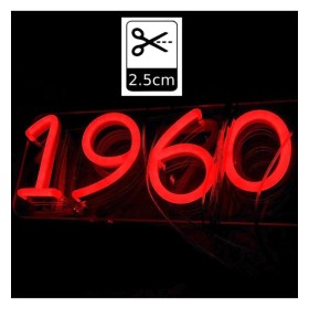 Bande LED Néon Rouge LED 6mm 12V + Alimentation