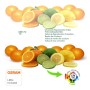 XXLED LED Einbauleuchte 12W Frameless QUASAR - OSRAM CHIP DURIS E 2835 - CCT - Produktansicht
