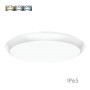 XXLED LED-Deckenleuchte für die Oberfläche - IP65 - 20W - 16W - 12W - CCT - Wählbare Farbe - technische Ansicht