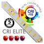 XXLED LED Streifen 24V | CRI ELITE |140 LED/m | 5m | SMD2835 | 1600Lm |11W/M | CRI98 | IP20 - Detailansicht