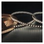 XXLED LED Streifen 24V | CRI ELITE |140 LED/m | 5m | SMD2835 | 1600Lm |11W/M | CRI98 | IP20 - Produktansicht