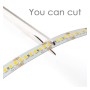 XXLED LED-Streifen 24V | 120xLED/m | 5m | SMD2835 | 1680Lm | 12W/M | IP20 - Detailansicht