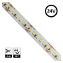 XXLED LED-Streifen 24V | 182xLED/m | 5m | SMD2835 | 11200Lm| 16W/M | IP20