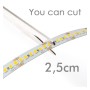 XXLED LED-Streifen 24V | 238xLED/m | 5m | SMD2835 | 14000Lm | 20W/M | IP20 - Produktansicht
