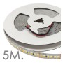 XXLED LED-Streifen 24V | 238xLED/m | 5m | SMD2835 | 14000Lm | 20W/M | IP20 - Detailansicht