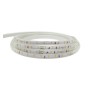 XXLED LED-Streifen 24V | 60xLED/m | 10m | SMD2025 | 30º | 10W/M | IP20 | CRI90 - technische Ansicht